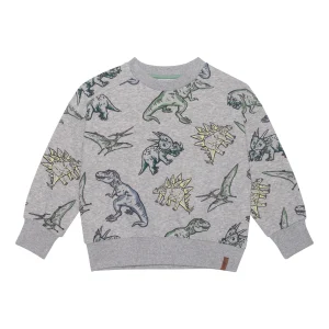 Sweatshirt en molleton français gris pâle chiné avec imprimé de dinosaures E30U31