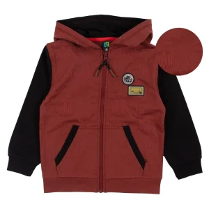 Veste à capuchon Nature sauvage F2405-07