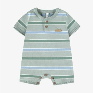 Barboteuse verte à rayures, naissance