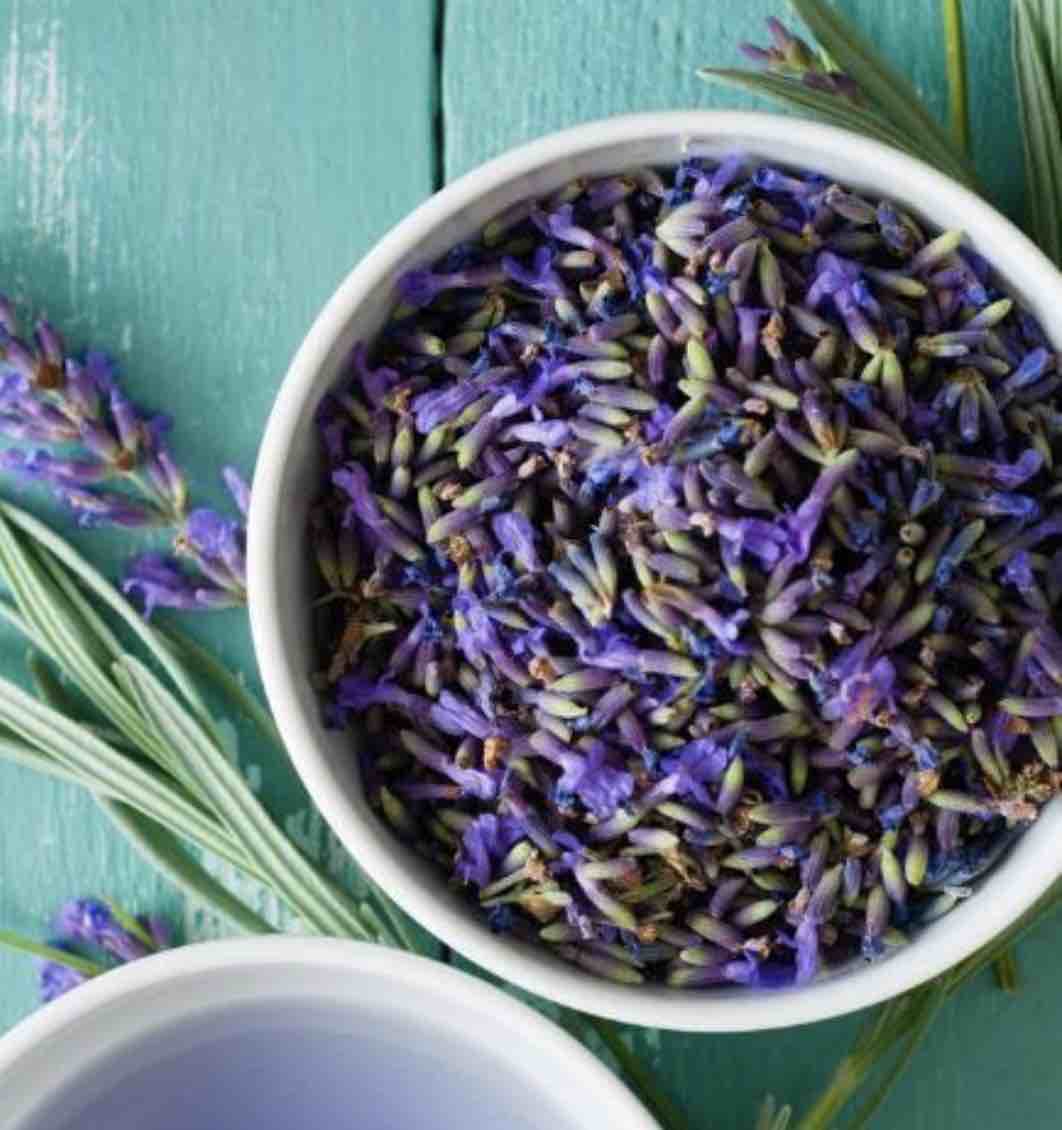 Baume BIO réparateur à la lavande – Nature & Progrès – pot 30 gr – dès 3 ans – Image 2